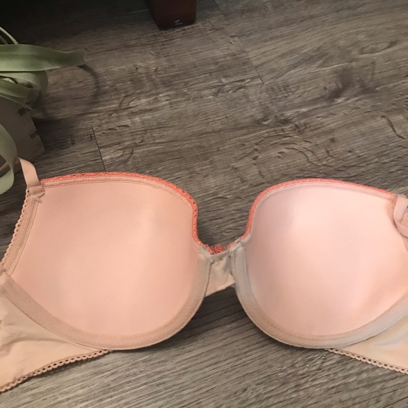 Aerie Ella Gel Push-up Bra, 34C, NWOT - Picture 7 of 7